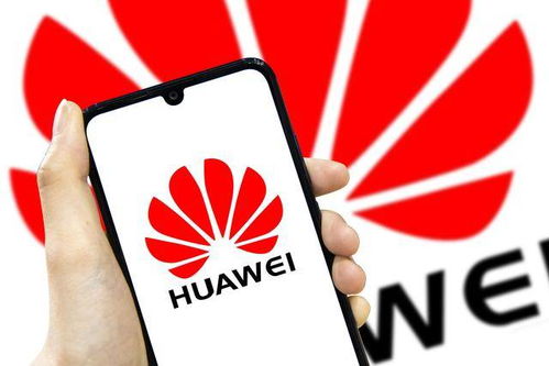 华为 在逆风中砥砺前行的网络技术灯塔